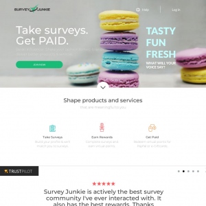 Survey Junkie landing page