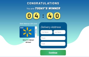 US - Walmart Gift Card - CC Submit (Sweeps) landing page