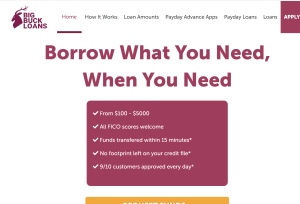 Big Buck Loans - US - RevShare 落地頁
