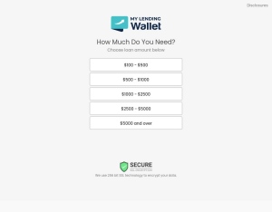 My Lending Wallet - Revshare | US landing page
