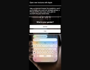 Rewardis SOI: IPhone16Pro · FB-Preland · FB&Instagram · SOI registration