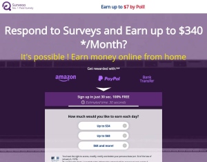 Surveoo · IL, Services, Software, Surveys
