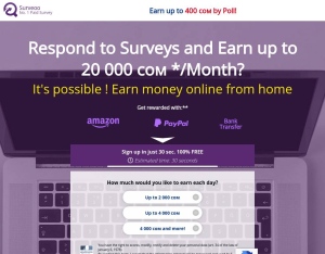 Surveoo · KG (KG), Surveys