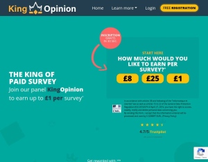 KingOpinion · AR (Incent), Surveys