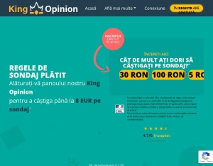 KingOpinion · VN (Incent), Surveys