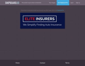 Elite Insurers · $4