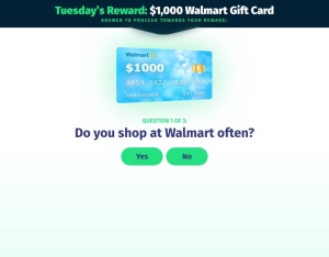 SuperSweep · BurgerKing $50 Direct Form