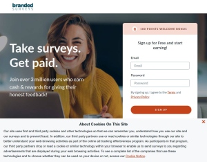 Branded Surveys