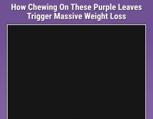 PurpleBurn Pro