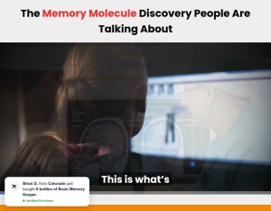 Brain Memory Keeper