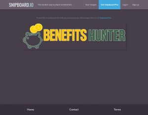 BenefitsHunter · Government Benefits Guide · $2.4