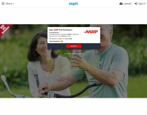 US Survey · AARP (aarp)