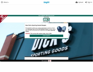 US Sweeps · Dick's Sporting Goods · Rawlings Heart of the Hide Baseball Glove CC submit