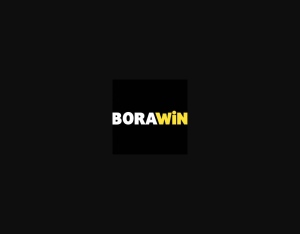 BORAWIN landing page